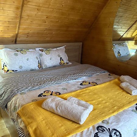 فيلا Sunshine House كوتايسي المظهر الخارجي الصورة