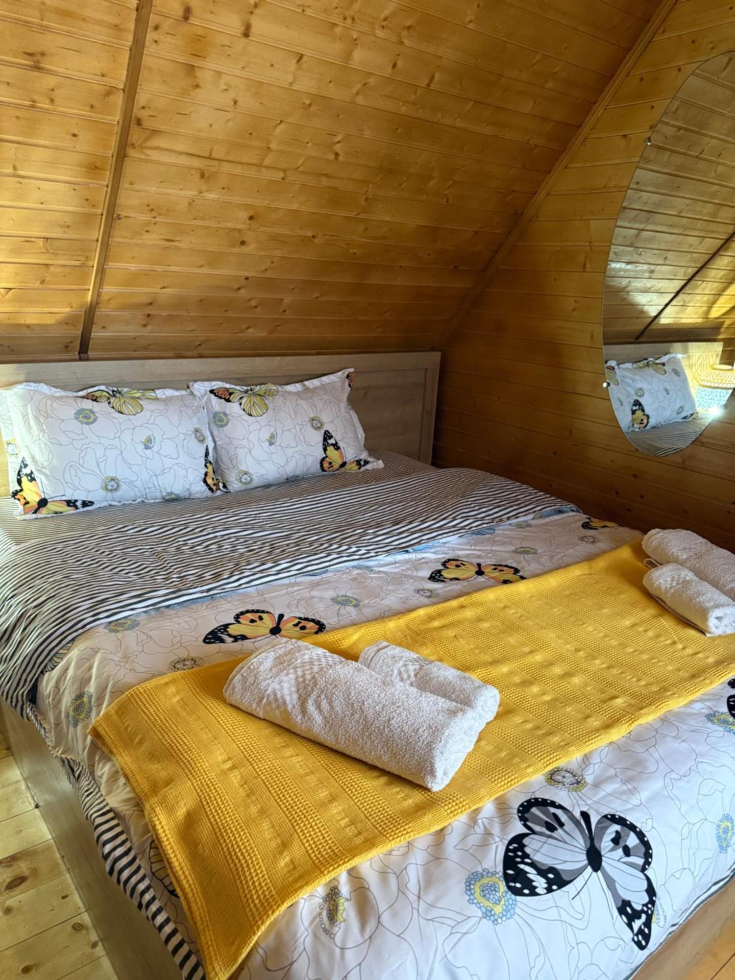 فيلا Sunshine House كوتايسي المظهر الخارجي الصورة