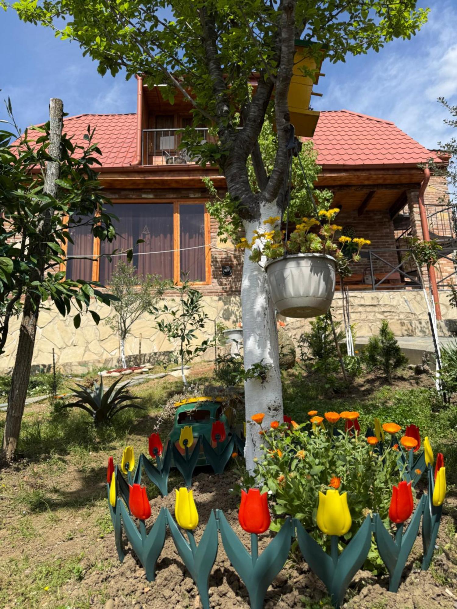 فيلا Sunshine House كوتايسي المظهر الخارجي الصورة